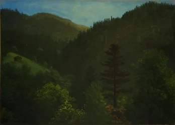 森の風景